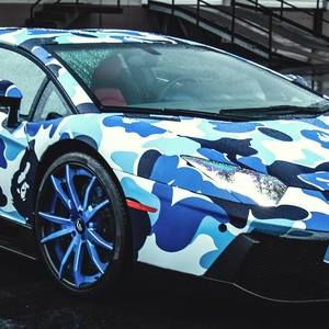 Meet your Posher, Wolfie